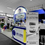 Hoàn thiện gian hàng Hải Long - Vietshrimp 2021