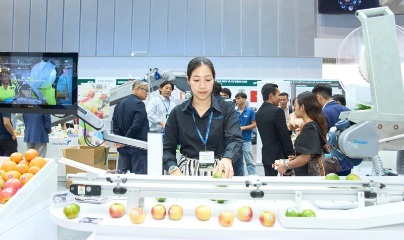 Lịch hội chợ triển lãm Việt Nam năm 2026 (Cập nhật mới nhất)